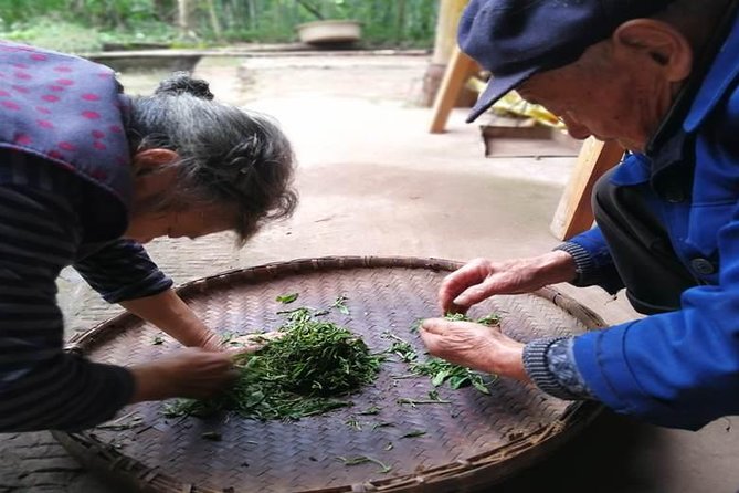 Tea Village in lost Town and Buddha 1 day tour - Tea making lessons and tastings: what you learn (and what you notice)