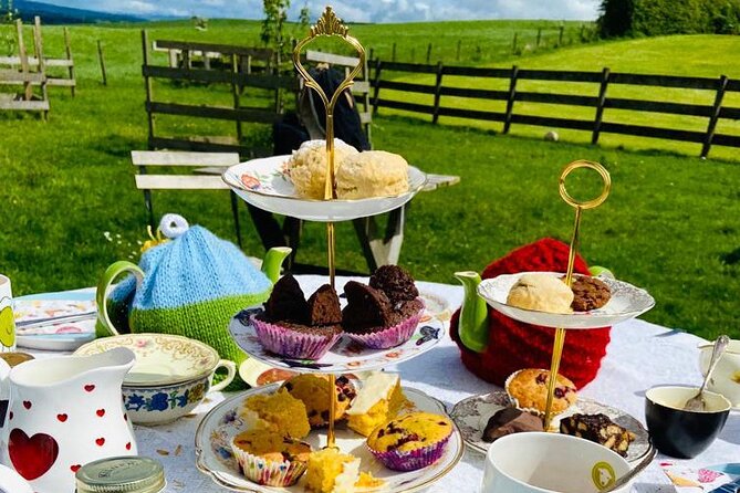 Tea with Naughty Sheep - The views: Loch Lomond and The Trossachs in the background