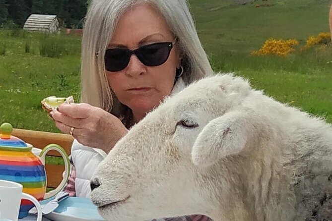 Tea with Naughty Sheep - What to bring: waterproof clothing beats pretty outfits