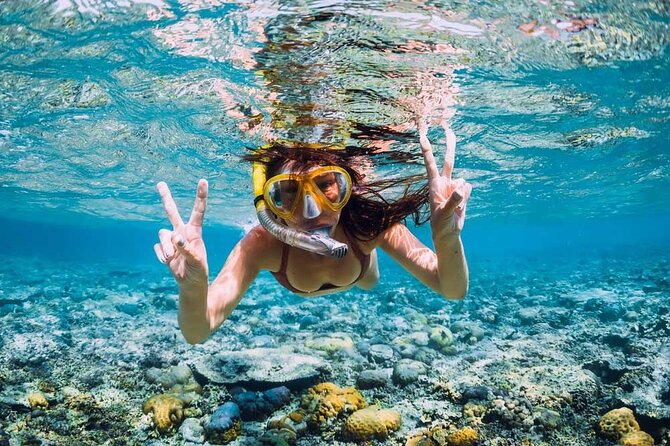 The East Discovery Tour: Bois-Cheri Tea Factory, Blue-Bay Marine Park & Lunch - Blue Bay Marine Park Glass-Bottom Boat and Snorkeling: What You’ll See at 5.5 Meters