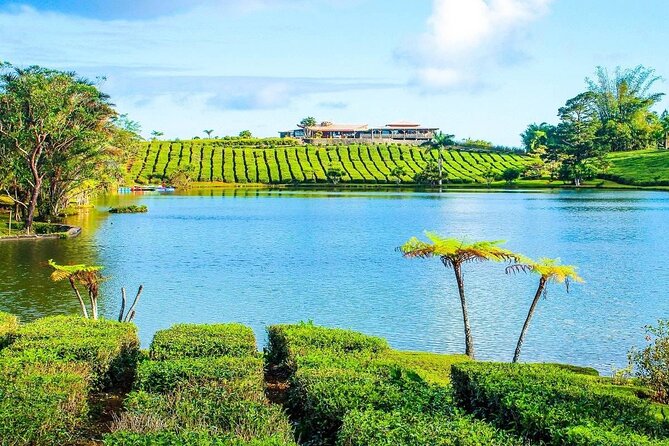 The East Discovery Tour: Bois-Cheri Tea Factory, Blue-Bay Marine Park & Lunch - Mahebourg Museum and 3-Course Lunch: Naval History Meets Real Island Eating