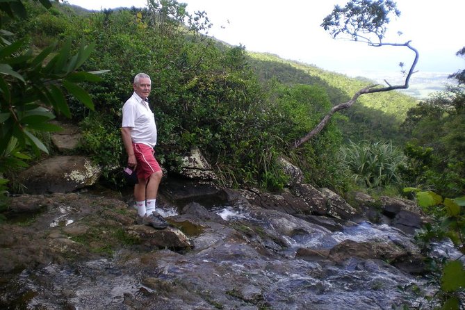 The Gorgeous South of Mauritius: Full-day tour incl Tea Factory & Crocodile park - Key things I’d prioritize before you go