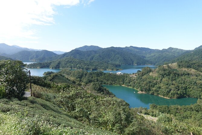 Thousand Island Lake and Pinglin Tea Plantation from Taipei - Bagua Tea Garden: Tea Rows With Mountain-View Energy