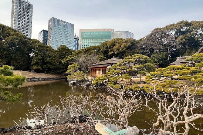 Tokyo: Hama-rikyu Gardens tour with Japanese Tea & Sweets - Key things I’d look forward to