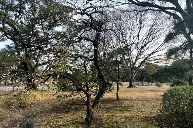 Tokyo: Hama-rikyu Gardens tour with Japanese Tea & Sweets - How the Guide Brings Garden Design History Into Focus