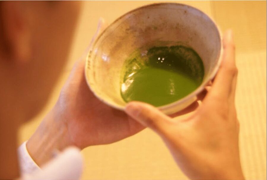 Tokyo:Tea ceremony experience at Komaba Warakuan - Choosing Rich Tea or Light Tea: Quiet Focus vs Sun-Seat Energy