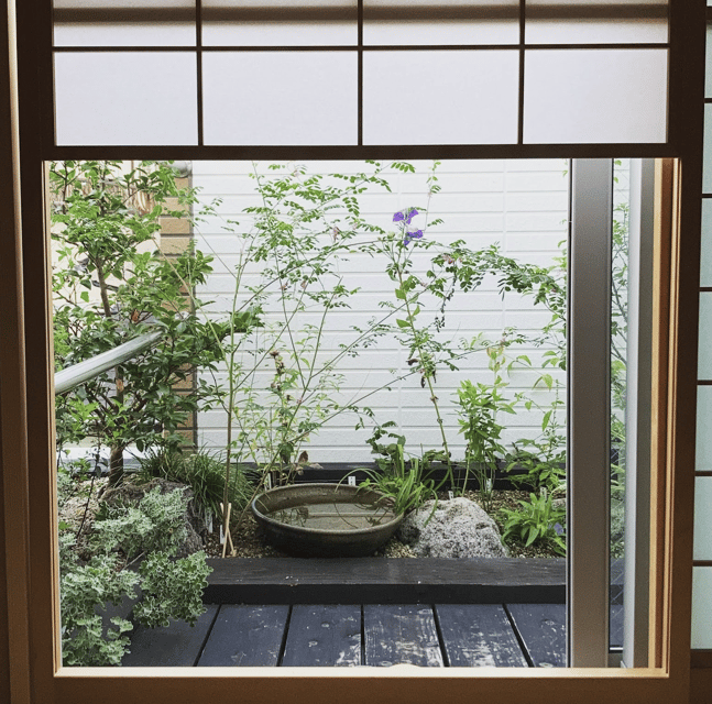 Tokyo: Tea Ceremony Experience in a small tea room - Meeting Mari: 20 Years of Tea Practice, Explained Clearly in English