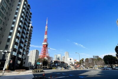 Tokyo Walking Tour : Sumo, Sushi, Tea, Temples and Tokyo Tower - Sumo Training at Arashio Beya: What You Can and Cannot Control