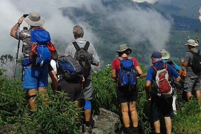 Trekking & Picnic in The Tea Plantation From Ella, Haputale & Bandarawela - Key Highlights You’ll Feel in Your Feet and Camera Roll