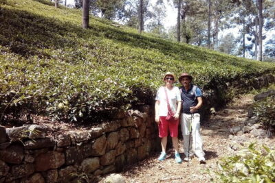 Trekking & Picnic in The Tea Plantation From Ella, Haputale & Bandarawela - The 4–5 Hour Tea Trail: What the Walk Actually Gives You