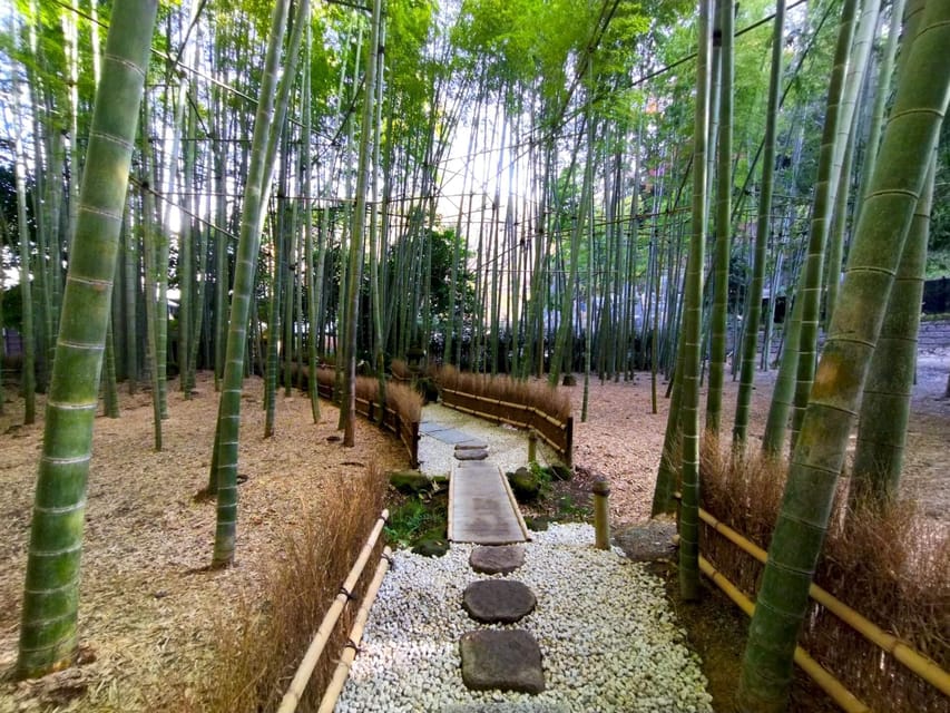 Trip to Kamakura & Enoshima: Shrines, Seaside, Temples &Tea - Hokokuji Bamboo Forest and tea house matcha: the calm part of the day