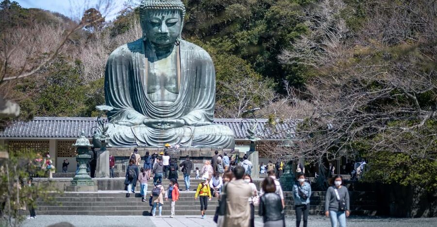 Trip to Kamakura & Enoshima: Shrines, Seaside, Temples &Tea - Shirahata Shrine: red torii, bridges, and koi feeding