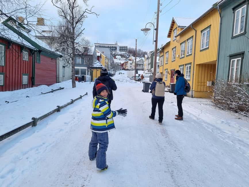 Tromsø Sweet Temptations tour: afternoon tea & chocolates - Northern Lights cake: the tastiest way to remember Tromsø