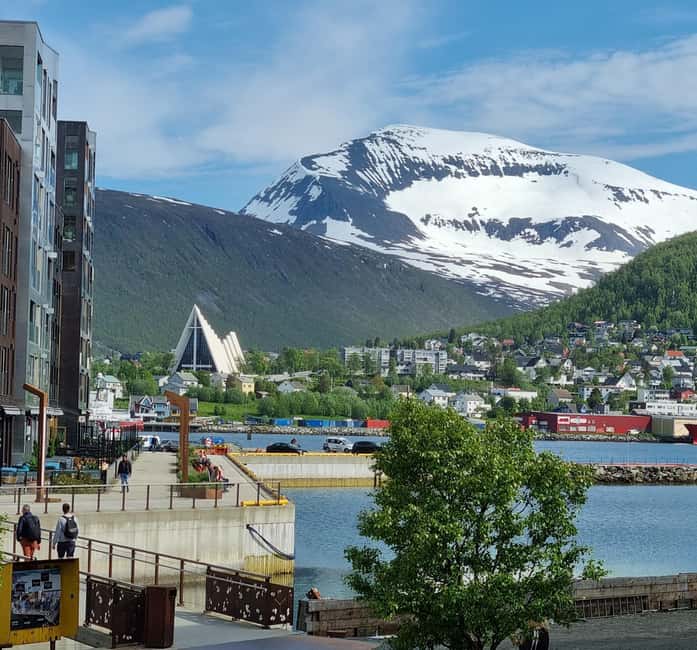 Tromsø Sweet Temptations tour: afternoon tea & chocolates - Who should book this tour (and who should skip it)
