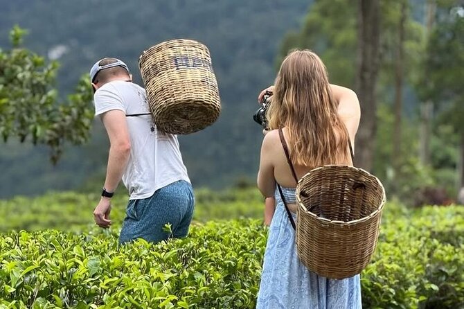 Tuk Tuk Nuwara Eliya Tea Falls Adventure - Key things you’ll enjoy most