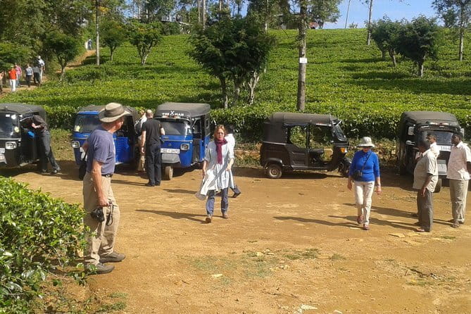 Tuk Tuk safari and Picnic in The Tea Plantation from Ella,Haputale & Bandarawela - Tuk Tuk to Lipton’s Seat: what makes the ride so worth it