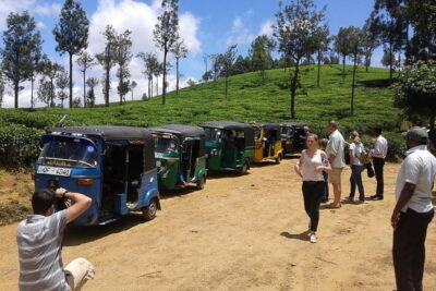 Tuk Tuk safari and Picnic in The Tea Plantation from Ella,Haputale & Bandarawela - The plantation picnic lunch: eating with the hills in view