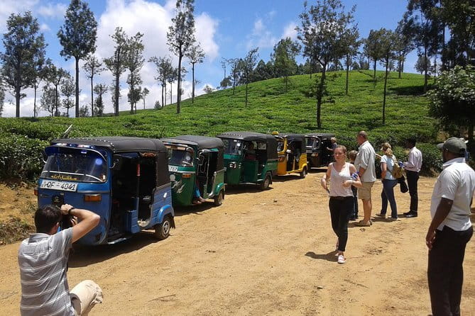 Tuk Tuk safari and Picnic in The Tea Plantation from Ella,Haputale & Bandarawela - The plantation picnic lunch: eating with the hills in view
