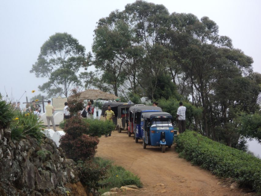 Tuk-Tuk Safari Liptons seat,Tea Fields Hike,TeaFactory Tour - Who Should Book This (and Who Might Want a Different Fit)