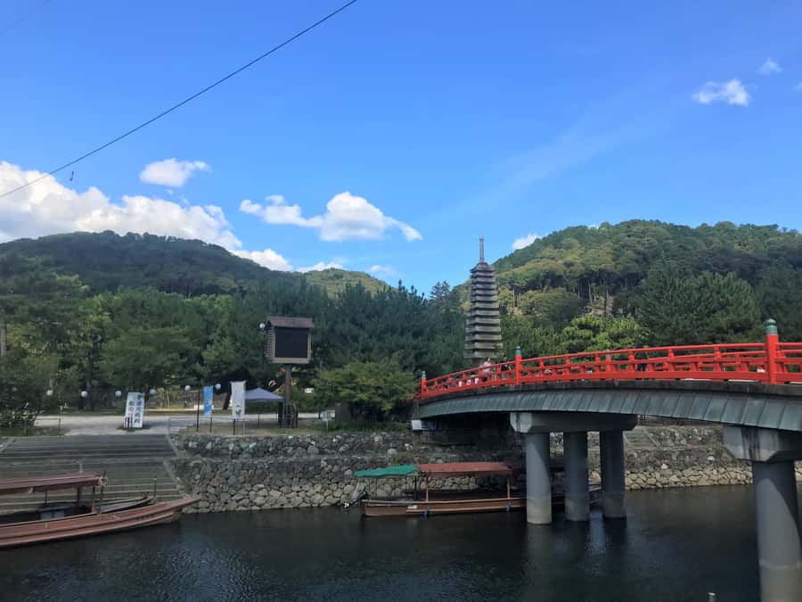 Uji: Green Tea Tour with Byodoin and Koshoji Temple Visits - Ujigami Shrine: purification, spring water, and the tea-faith connection