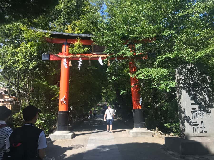 Uji: Green Tea Tour with Byodoin and Koshoji Temple Visits - Price and value: what your $111 really covers