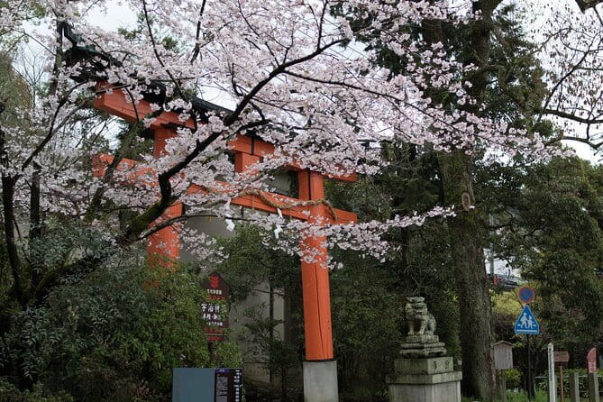 Uji Tea Ceremony and UNESCO Heritage Walking Tour - Shrine calm at Ujigami and Uji Shrine