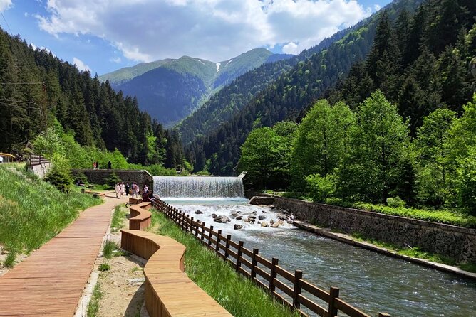 Uzungol Tour: Full-Day Nature Adventure with Tea Factory Visit - Price and what $58.71 really buys you