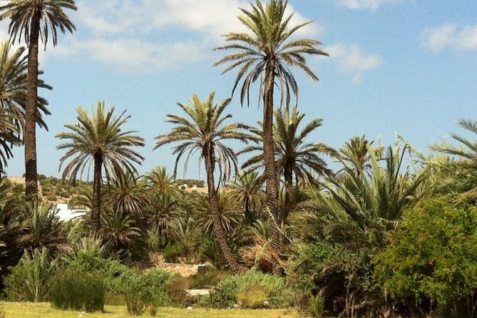 Visit the Oasis & Tea at the basket maker. - Key highlights you’ll actually care about