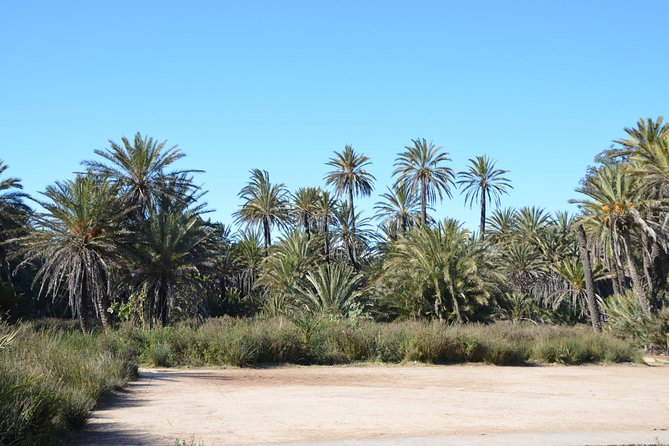 Visit the Oasis & Tea at the basket maker. - The viewpoint by the oasis and spring: where the photos make sense