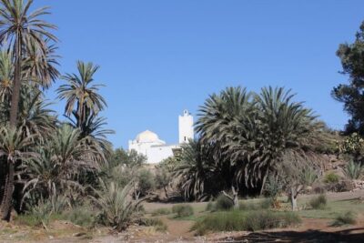 Visit the Oasis & Tea at the basket maker. - Argan trees to Saint Sidi Bourahmoune: the walking route in plain terms