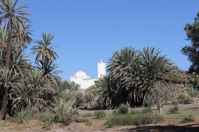 Visit the Oasis & Tea at the basket maker. - Argan trees to Saint Sidi Bourahmoune: the walking route in plain terms