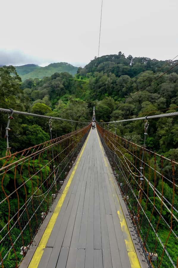 Volcano, Hot Spring, Mud Bath & Tea plantation all included - Key Things That Make This Tour Worth Your Time