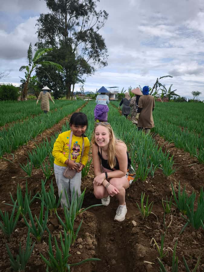 Volcano, Hot Spring, Mud Bathing, & Tea Tour all included - Tea plantation views and the photos you’ll actually get