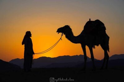 Wadi Rum: Camel Ride with tea and Bedouin Guide - Getting to the Sand: The Short Jeep Ride From Wadi Rum Village