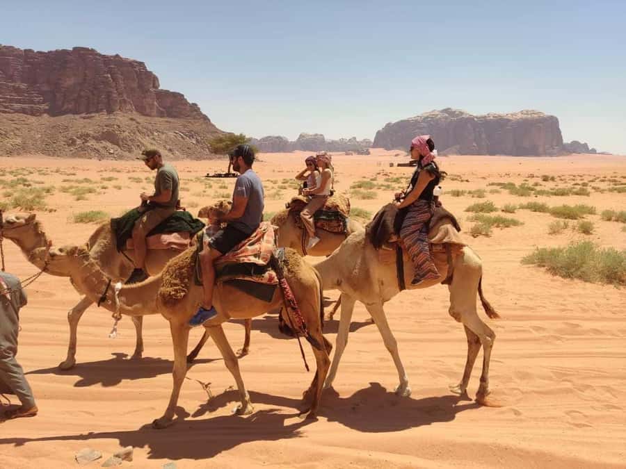 Wadi Rum: Camel Ride with tea and Bedouin Guide - Who This Camel Ride Works Best For