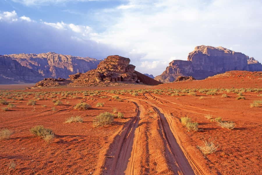 Wadi Rum: Camel Ride with tea and Bedouin Guide - FAQ