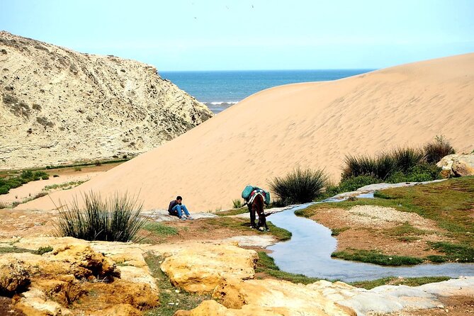 Walk to the cascade and marabout of Sidi Mbark & for a tea to Kaouki - Key things I’d highlight before you go