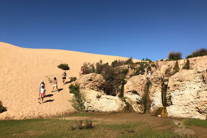 Walk to the cascade and marabout of Sidi Mbark & for a tea to Kaouki - Timing, meeting point, and how to plan your day