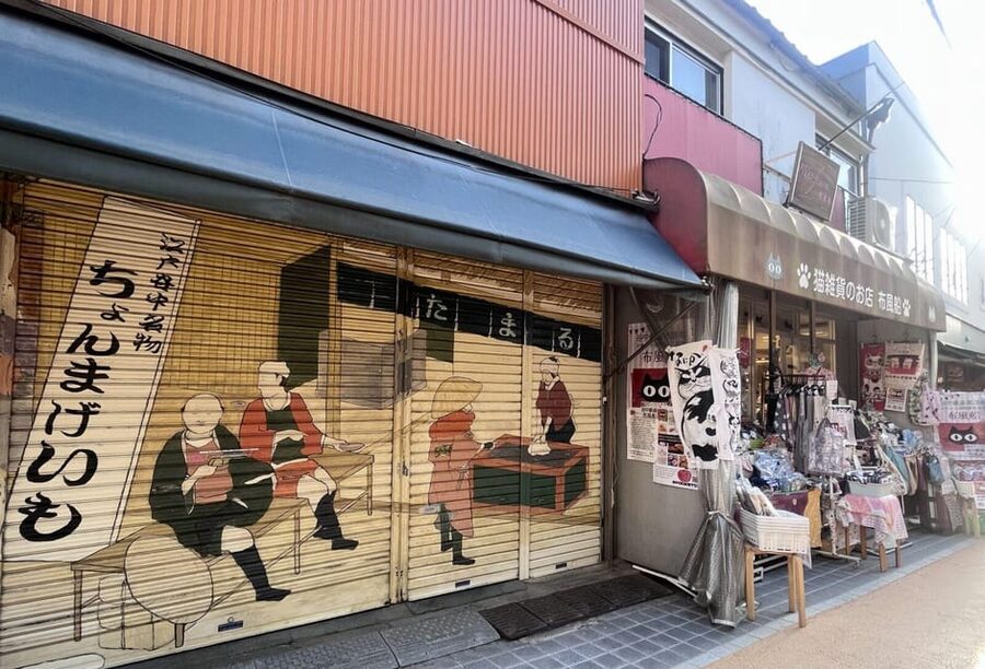 Walking Tour: Yanaka,Nezu& Sendagi: Tea Ceremony & Old Tokyo - Key things to look forward to