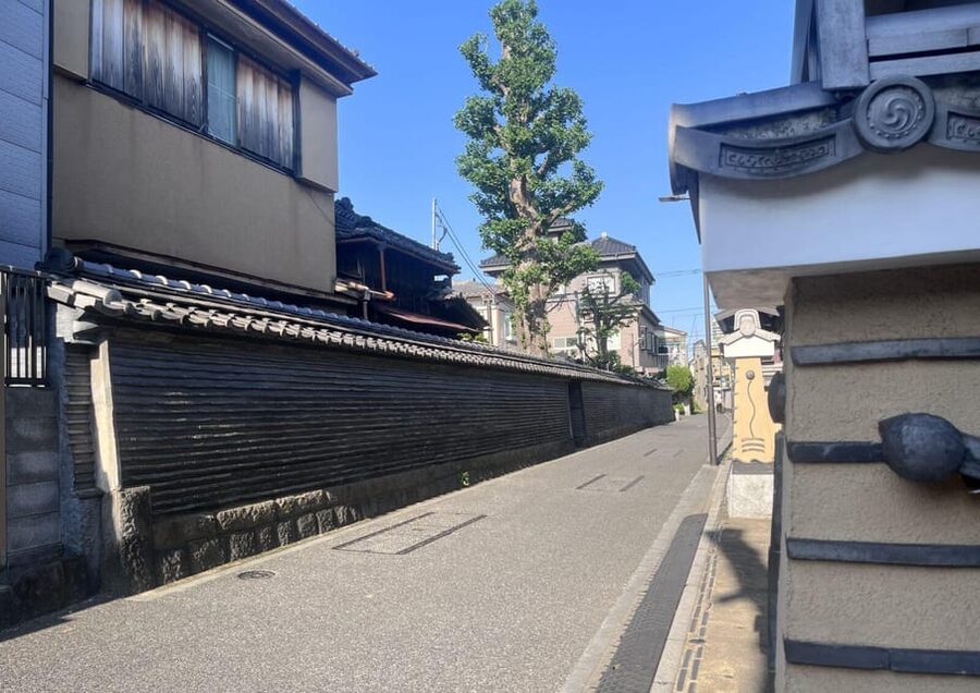 Walking Tour: Yanaka,Nezu& Sendagi: Tea Ceremony & Old Tokyo - A “secret stop” with food tasting: where the day gets personal
