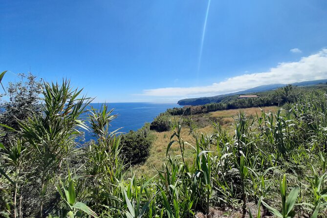 Waterfalls Hike, Moinho do Felix with tea plantation - What the Day Feels Like: Timing, Pacing, and How Hard It Really Is