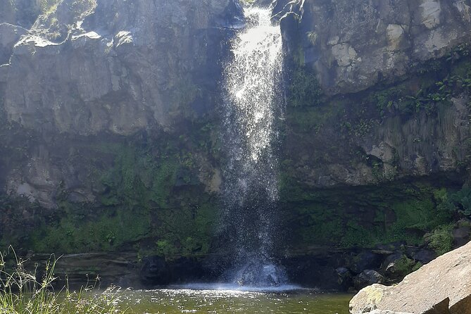 Waterfalls Hike, Moinho do Felix with tea plantation - Who This Tour Suits Best (And Who Might Want Another Option)