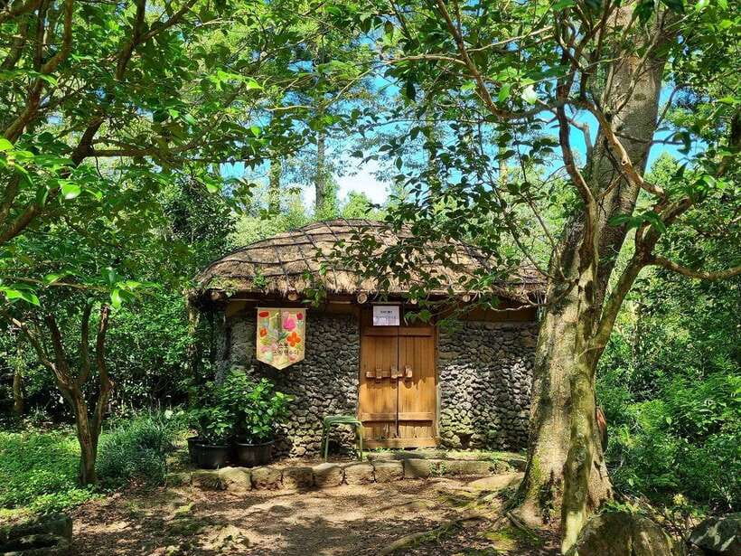West & South Jeju: Hallasan Trail, Waterfall, Tea Field Tour - Key points before you go