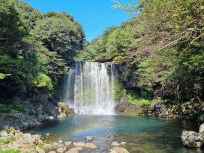 West & South Jeju: Hallasan Trail, Waterfall, Tea Field Tour - Pickup, timing, and how the day really flows