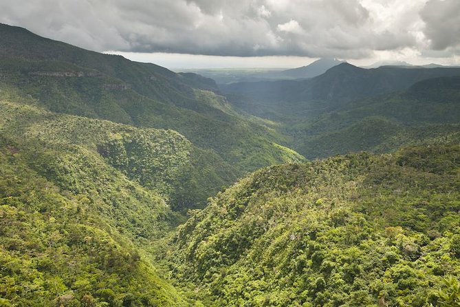Wild South: Full-Day tour incl Rhumerie St Aubin, Bois cheri Tea factory & Lunch - Black River Gorges National Park viewpoint: rainforest views without a major hike