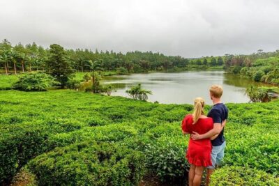 Wild South: Full-Day tour incl Rhumerie St Aubin, Bois cheri Tea factory & Lunch - Trou aux Cerfs and Mare aux Vacoas: your first real wow
