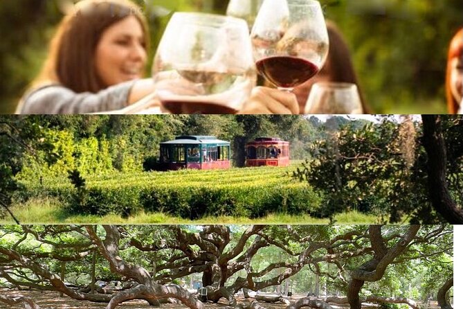 Wine Sippin'-Tea Drinkin'-Tree Huggin' Lowcountry Sightseeing - Lowcountry Day Trips That Actually Feel Small-Group