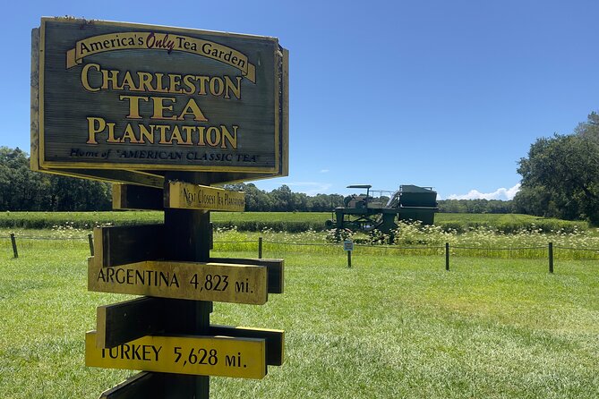 Wine Sippin'-Tea Drinkin'-Tree Huggin' Lowcountry Sightseeing - Deep Water Vineyard: Wine Tasting and a Vineyard Walk