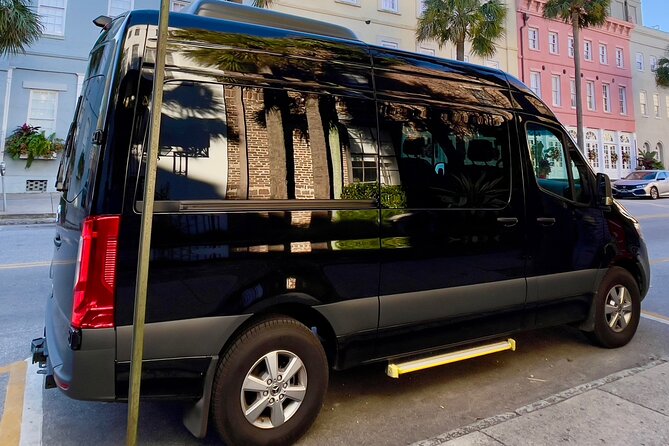 Wine Sippin'-Tea Drinkin'-Tree Huggin' Lowcountry Sightseeing - Who This Tour Is Best For (and Who Might Want Something Else)