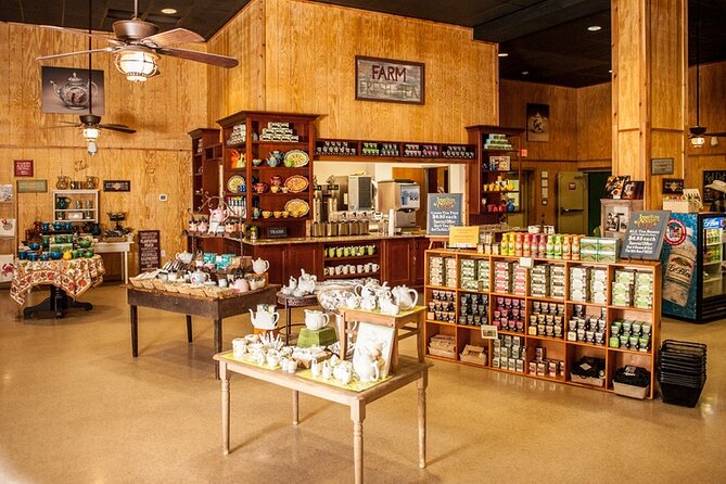 Wine Sippin'-Tea Drinkin'-Tree Huggin' Lowcountry Sightseeing - Practical Tips So Your Day Goes Smoothly